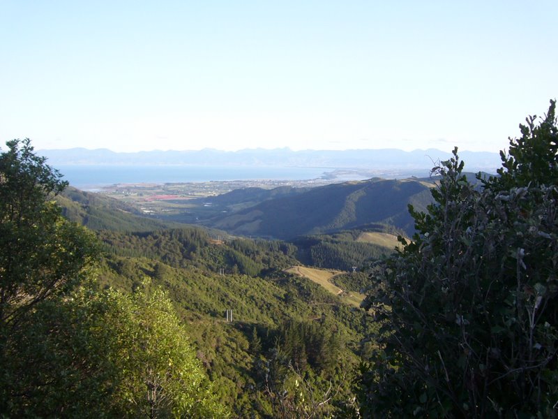 Travel - New Zealand - Nelson